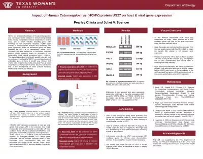 Impact of Human Cytomegalovirus (HCMV) protein US27 on host & viral gene expression