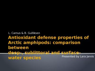 Antioxidant defense properties of Arctic amphipods: comparison between