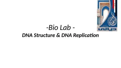 -Bio Lab - DNA Structure & DNA Replication