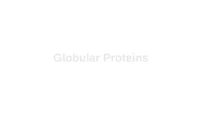 Globular Proteins Figure 6-13