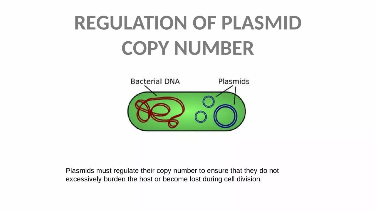 PPT-REGULATION OF PLASMID COPY NUMBER