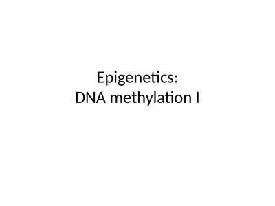 Epigenetics : DNA  methylation