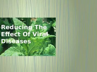 Reducing The Effect Of Viral Diseases