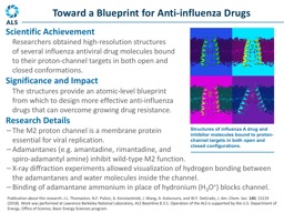 Structures of influenza A drug and inhibitor molecules bound to proton-channel targets