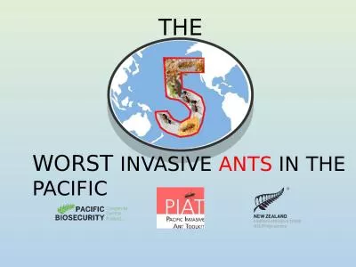 THE WORST  INVASIVE  ANTS