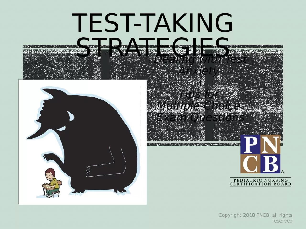 Test-Taking Strategies Dealing with Test
