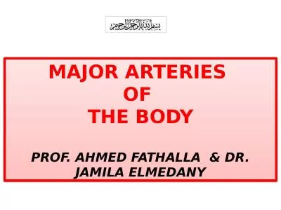 Major arteries  of  the body