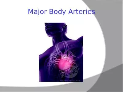 Major Body Arteries Objectives