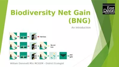 Biodiversity Net Gain (BNG)