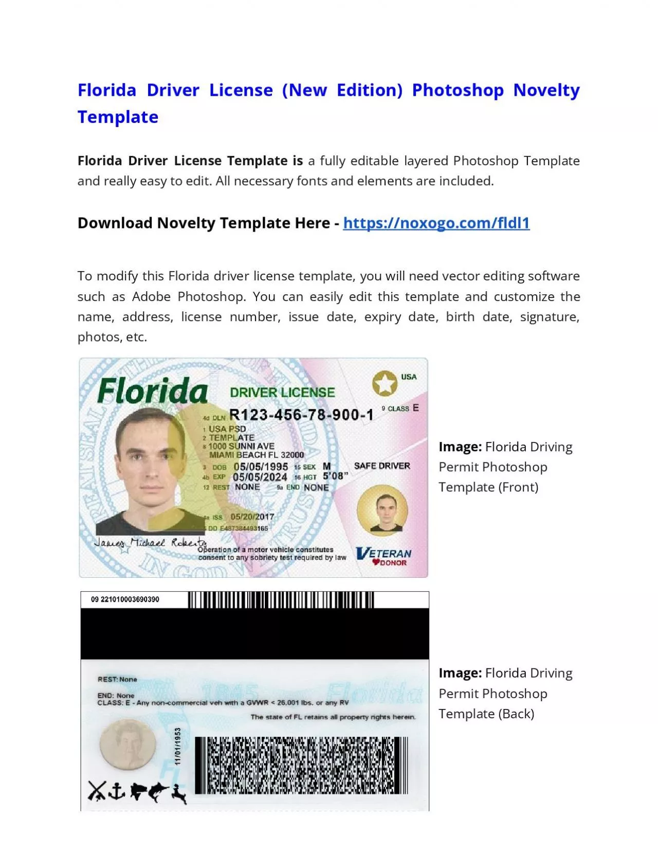 PDF-Florida Drivers License (New Edition) Photoshop Novelty Template