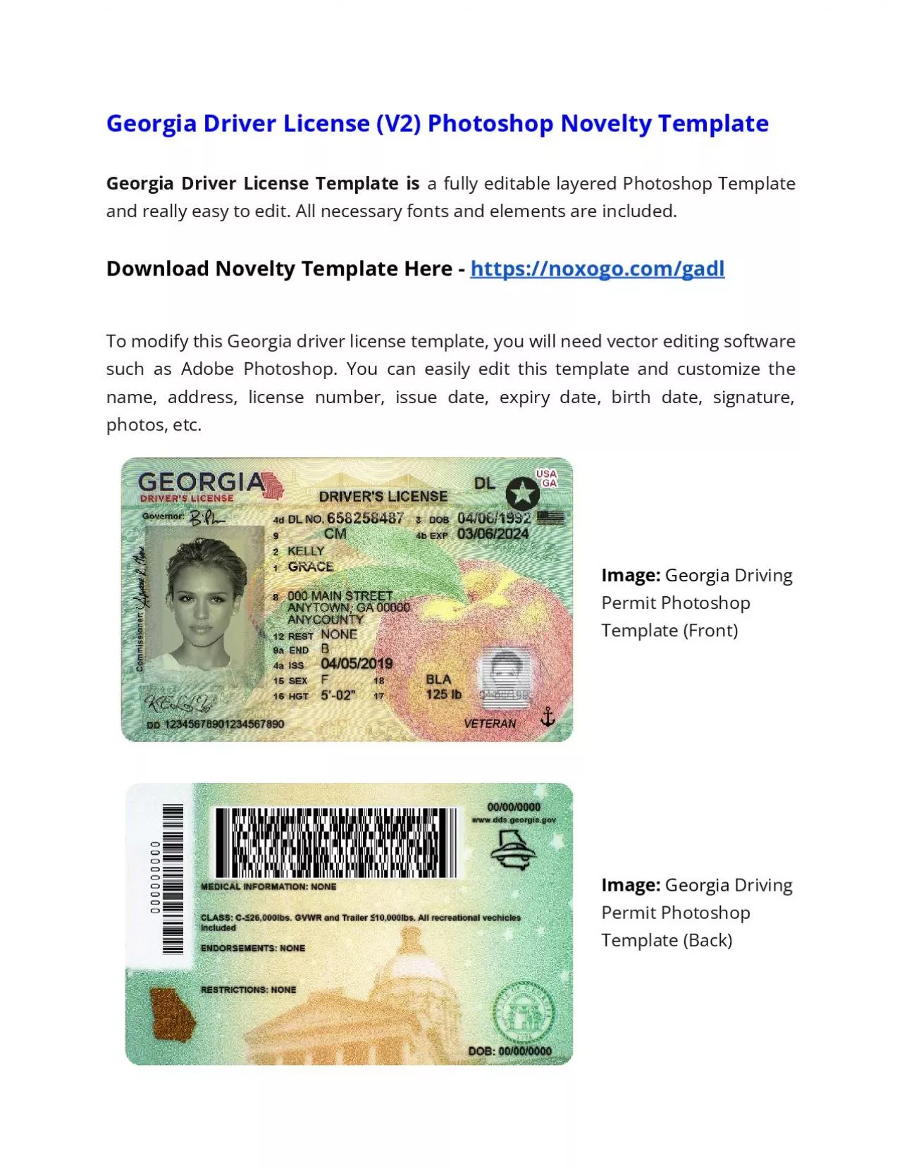 PDF-Georgia Driver License (V2) Photoshop Novelty Template