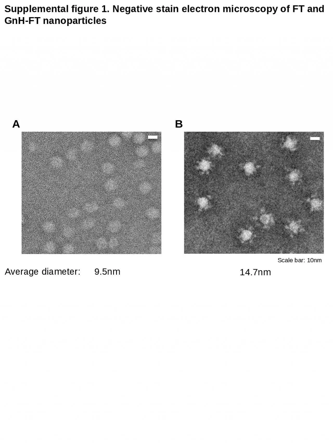 PPT-Supplemental figure 1. Negative stain electron microscopy of FT and GnH-FT nanoparticles