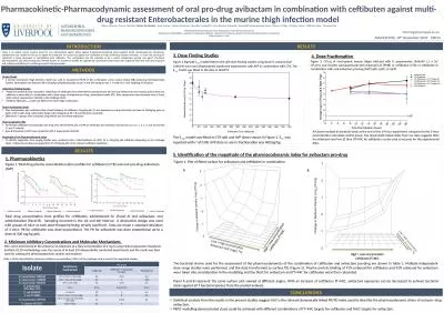 5. Identification of the magnitude of the pharmacodynamic index for avibactam pro-drug