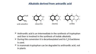 Alkaloids   derived  from