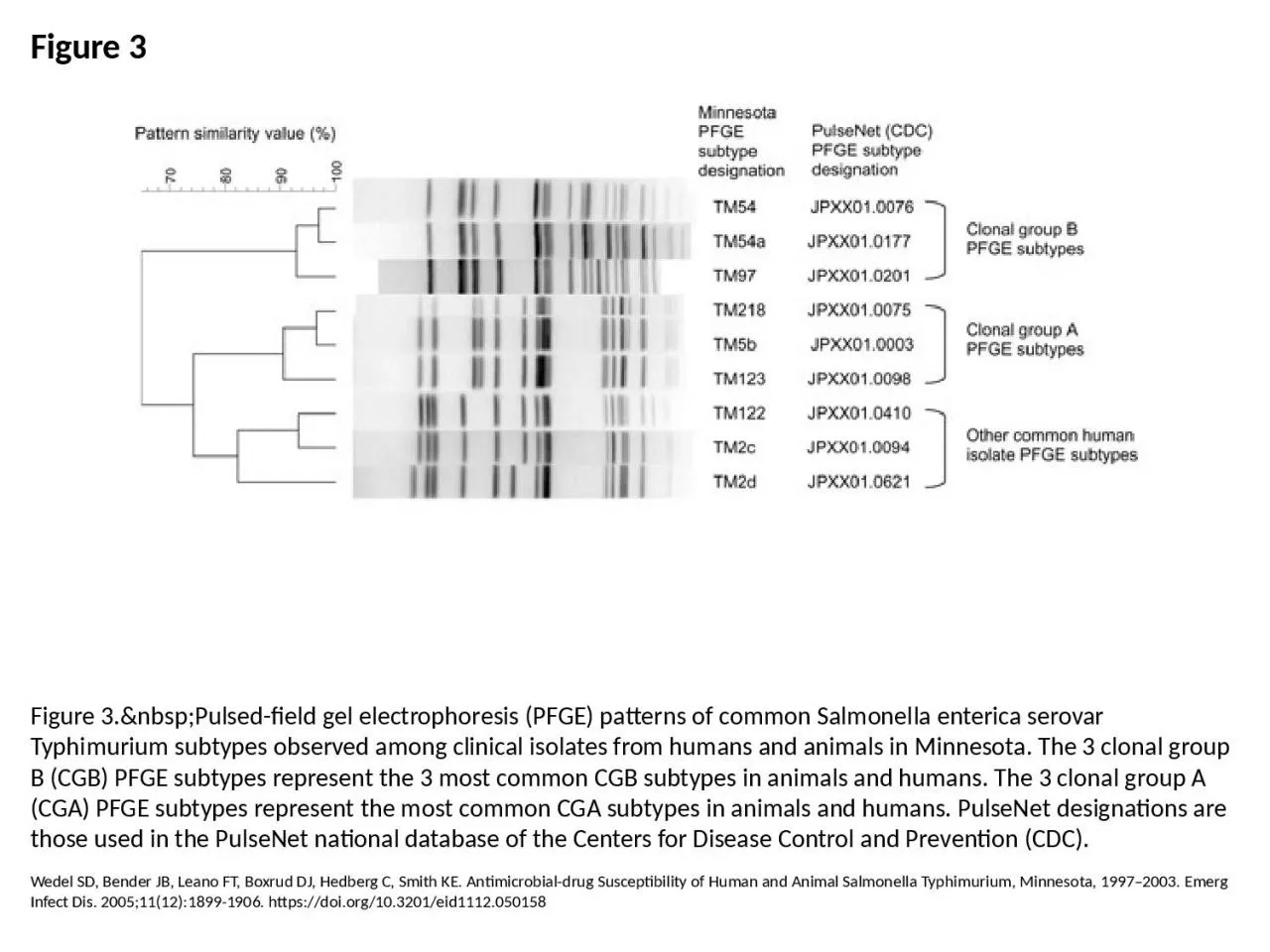 PPT-Figure 3 Figure 3.&nbsp;Pulsed-field gel electrophoresis (PFGE) patterns of common