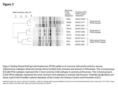 Figure 3 Figure 3.&nbsp;Pulsed-field gel electrophoresis (PFGE) patterns of common Salmonella e