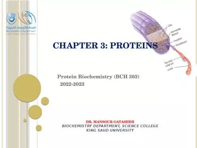 Chapter 3: Proteins   Protein