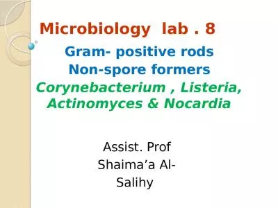 Microbiology  lab . 8 Gram- positive rods