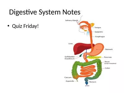 Digestive System Notes Quiz Friday!