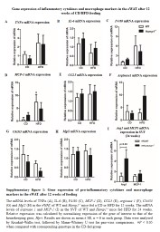 Arginase1   mRNA expression