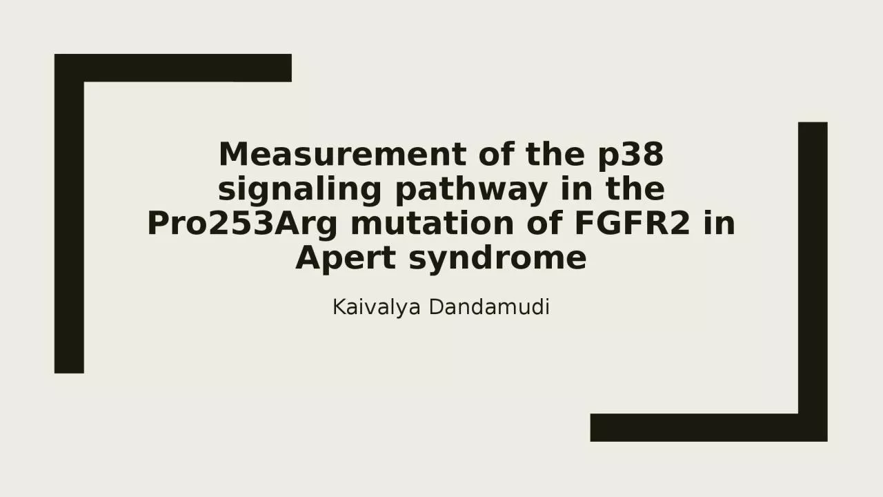 PPT-Measurement of the p38 signaling pathway in the Pro253Arg mutation of FGFR2 in