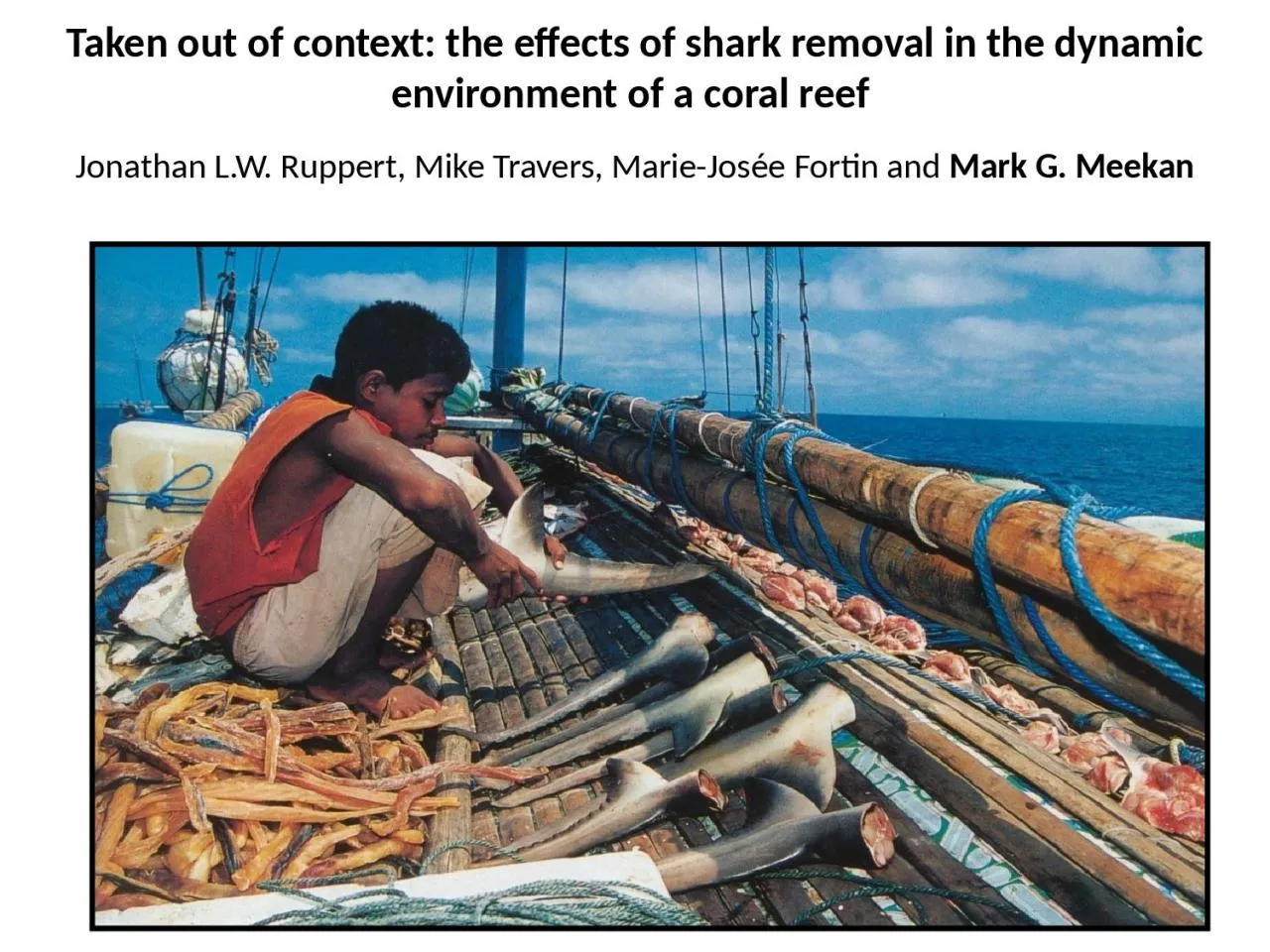 PPT-Taken out of context: the effects of shark removal in the dynamic environment of a coral