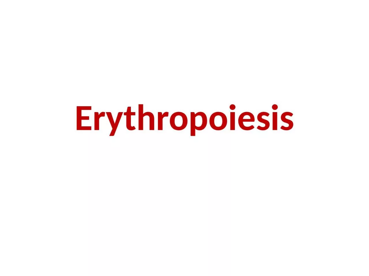 Erythropoiesis All the circulating blood cells derive from