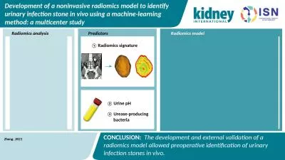 Development of a noninvasive radiomics model to identify urinary infection stone in vivo using a ma