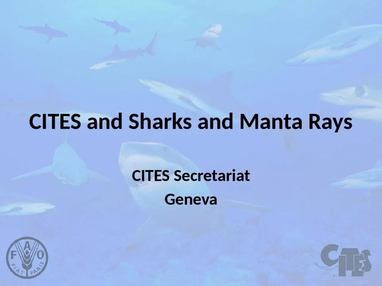 PPT-CITES and Sharks and Manta Rays