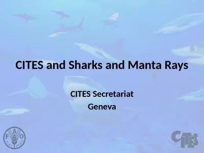 CITES and Sharks and Manta Rays