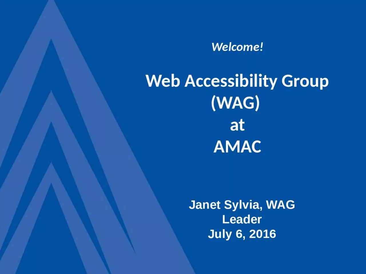 PPT-Welcome! Web Accessibility Group (WAG)