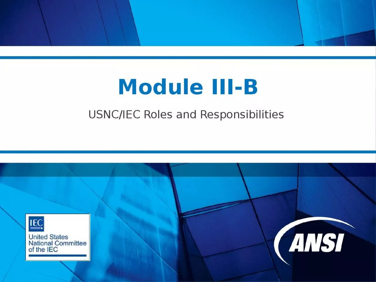 Module III-B USNC/IEC  Roles and Responsibilities