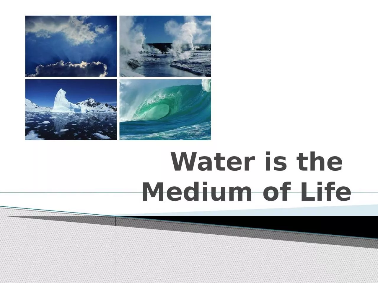 PPT-Water is the Medium of Life