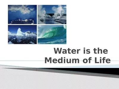 Water is the  Medium of Life