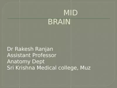 MID BRAIN    Dr  Rakesh