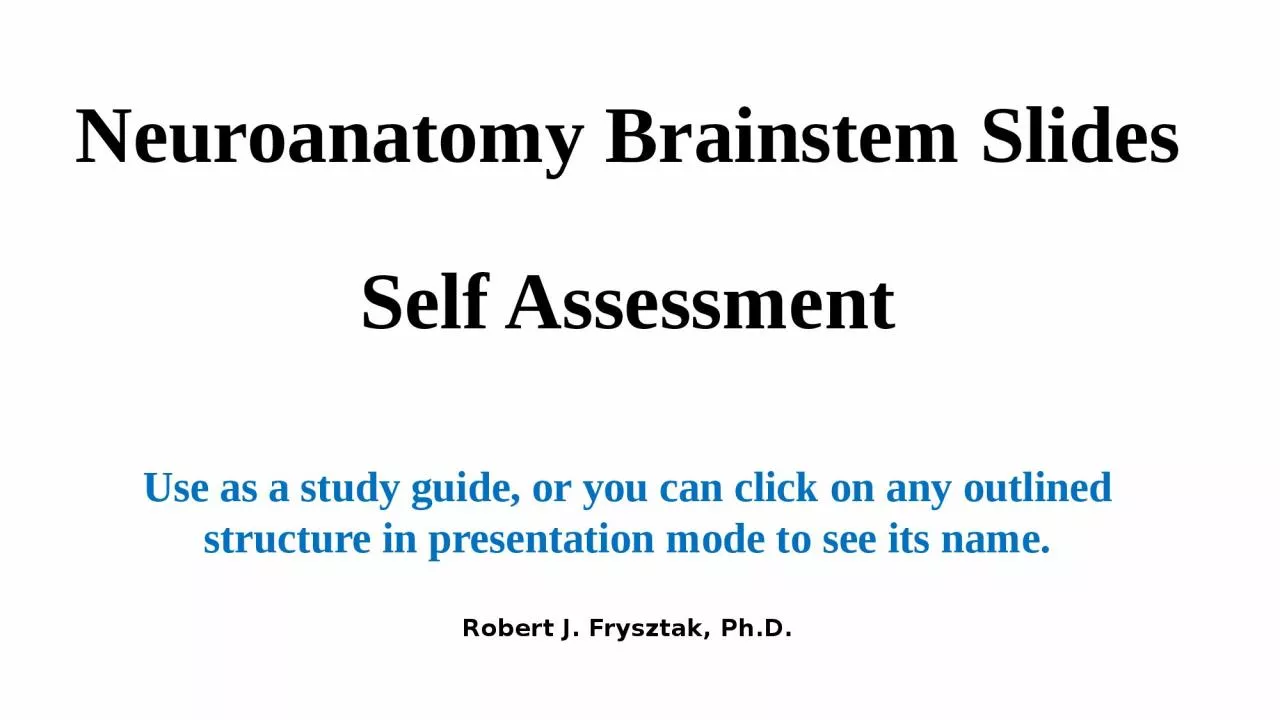 PPT-Neuroanatomy Brainstem Slides