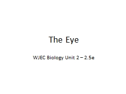 The Eye WJEC  Biology  Unit