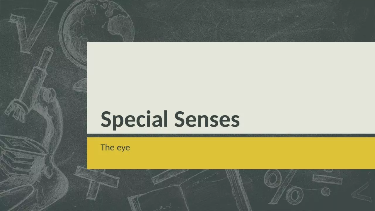 PPT-Special Senses The eye z