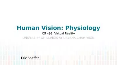 Human Vision: Physiology