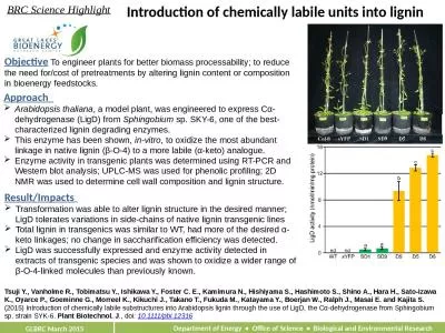 Introduction of chemically labile units into lignin