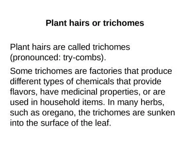 Plant hairs or trichomes