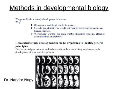 Methods in developmental biology