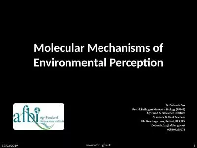 Molecular Mechanisms of Environmental Perception