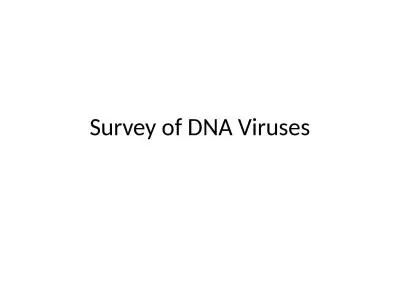 Survey of DNA Viruses Papillomaviruses