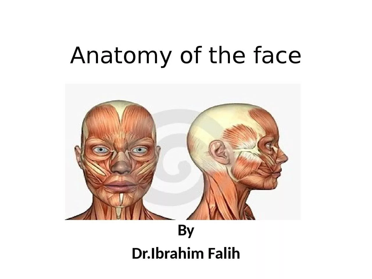 PPT-Anatomy of the face By Dr.Ibrahim