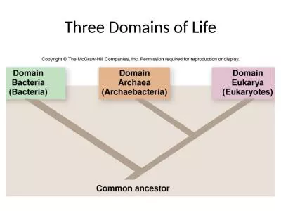 Three Domains of Life The Microbial World