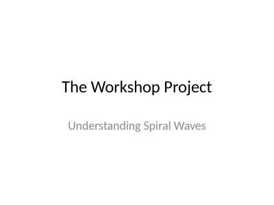 The Workshop Project Understanding Spiral Waves