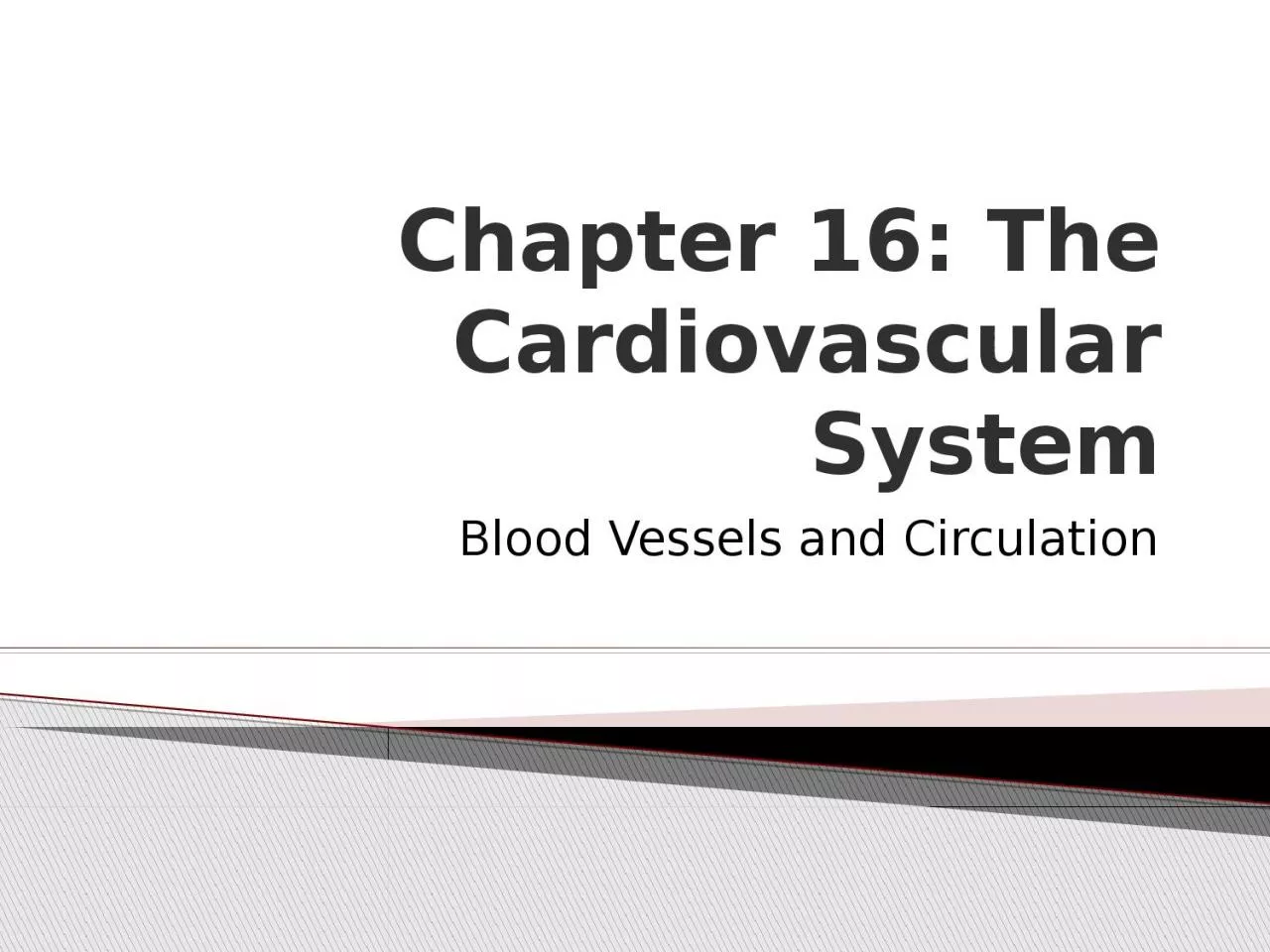 PPT-Chapter 16: The Cardiovascular System