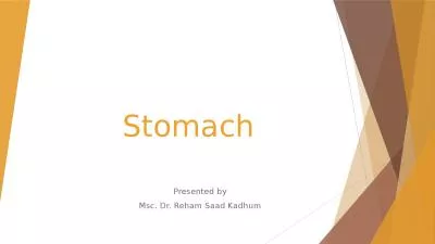Stomach   Presented by  Msc