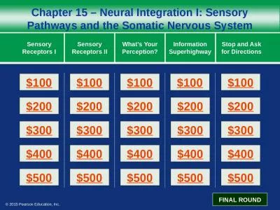 Chapter 15 – Neural Integration I: Sensory Pathways and the Somatic Nervous System